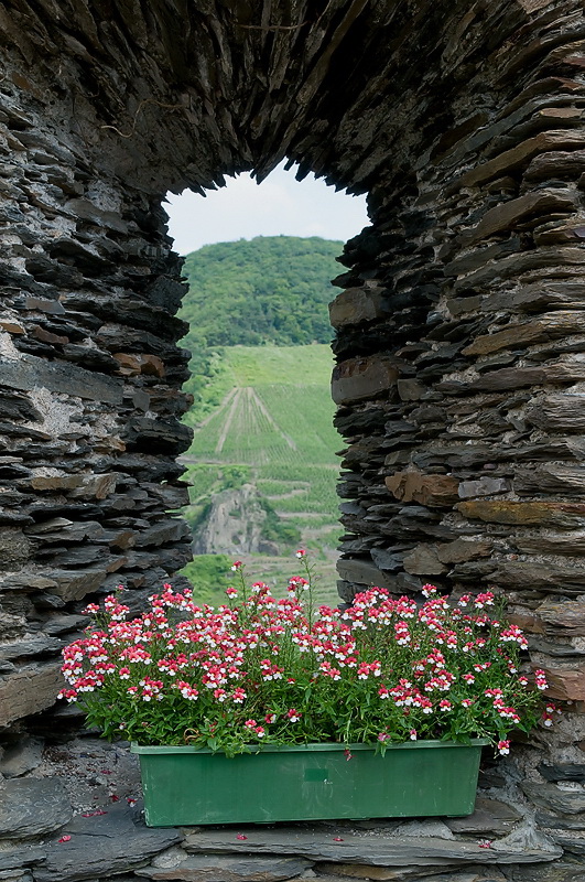 Mosel 07-2012D35_8846 als Smart-Objekt-1 Kopie.jpg